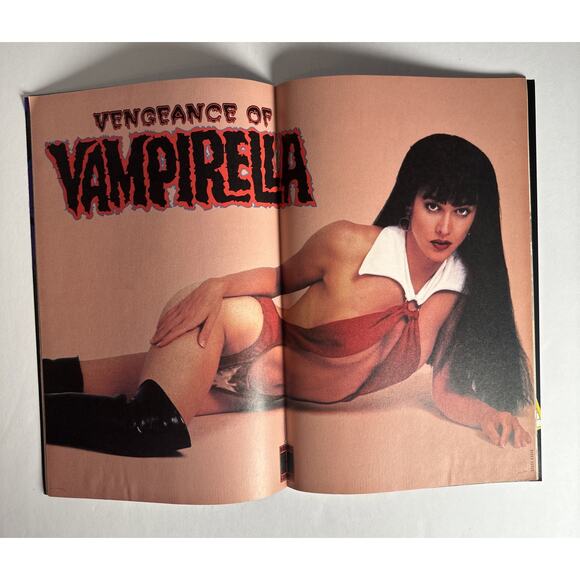 VENGEANCE OF VAMPIRELLA #6 1994,SNIEGOSKI CHO NICHOLS, BONUS PHOTO CENTERFOLD - Picture 6 of 6